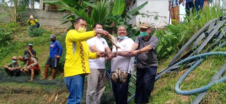 Panen Raya Ikan Patin di Raman Utara, 5 Bulan Capai 5 Ton