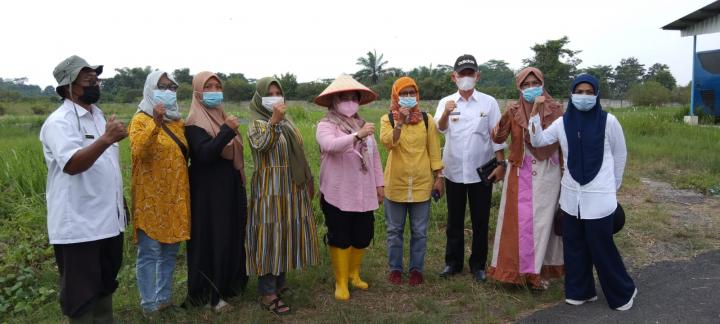 Mardiana Musa Ahmad Resmikan Kebun Percontohan Agropark FKWT Berjaya