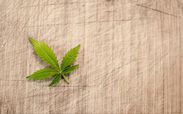 Bawa Ganja, 2 Orang Di Bekuk Polisi 