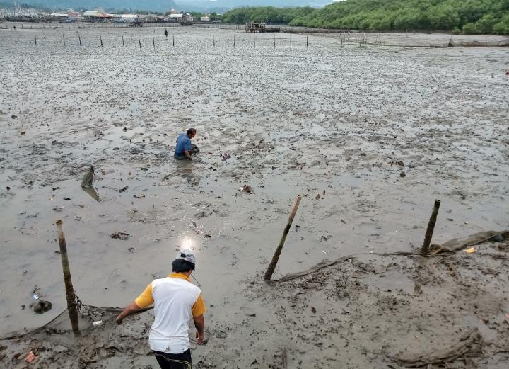 Air Laut Pulau Pasaran Surut, Warga Manfaatkan Cari Kerang 