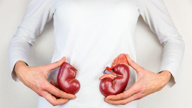 Makanan Sehat Untuk Penderita Sakit Ginjal yang Aman Dikonsumsi