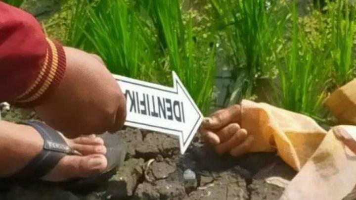Niat Setrum Tikus! Naâ€™as, Malah Tewas Kesetrum Jebakannya Sendiri