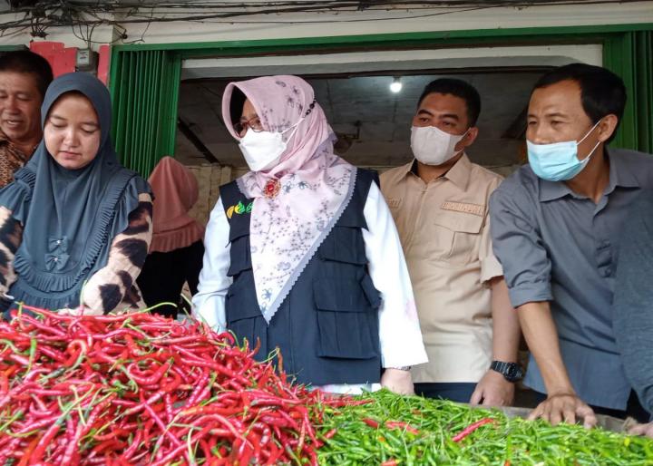 Kunjungi Pasar di Bandar Lampung, Kementan Beberkan Beberapa Hasil Temuan