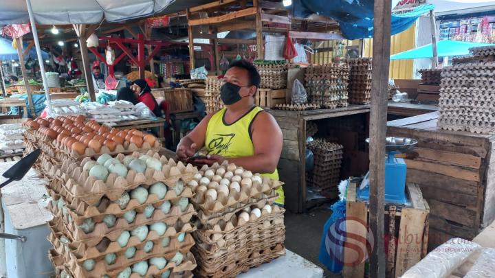 Sempat Anjlok, Harga Telur Kini Kembali NormalÂ 
