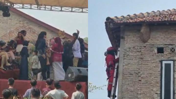 Tawon Vespa Ganggu Resepsi Pernikahan di Lampung Selatan, Damkar Evakuasi Sarang Berukuran Besar