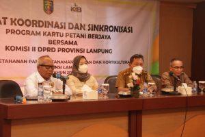 Ririn Kuswantari Didorong Tokoh Masyarakat Pringsewu Untuk Maju di Pilbup Tahun 2024
