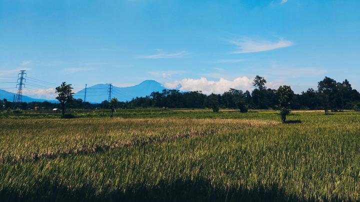 Program Gubernur Lampung Kartu Petani Berjaya, Belum Menyentuh Petani