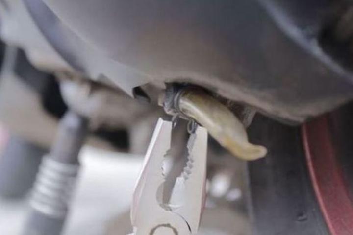 Fungsi Slang Kecil Bening di Motor Matic   