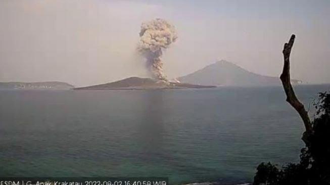 Awal Agustus, Gunung Anak Krakatau Tercatat 7 Kali Erupsi