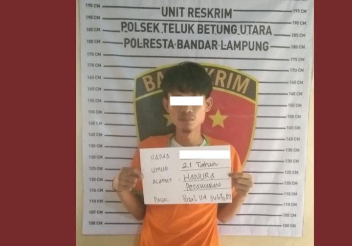Pengedar dan Kurir Narkoba Dibekuk Tim Opsnal Polsek Telukbetung Utara