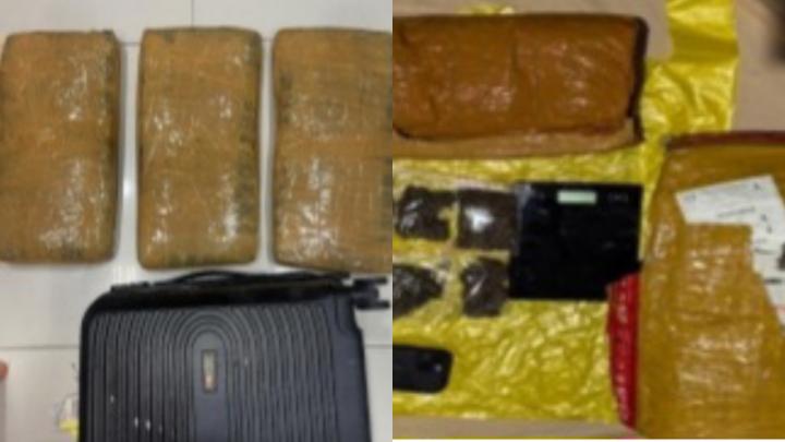 Polda Lampung Sita 6 Kg Ganja Senilai Rp42 Juta, Jaringan Medan-Bali Terbongkar