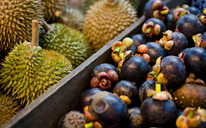 Berikut Komoditas Tani Lampung Potensi Mendobrak Penjualan Internasional