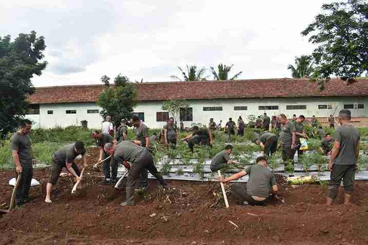 Korem 043/Gatam Siapkan Taman Urban Farming Seluas 5.000 MÂ² di Satlog Bypass  	
