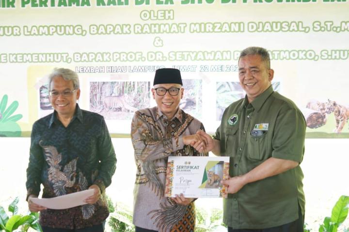 Anak Harimau Sumatera Tampil Perdana, Gubernur Lampung Resmikan Nama