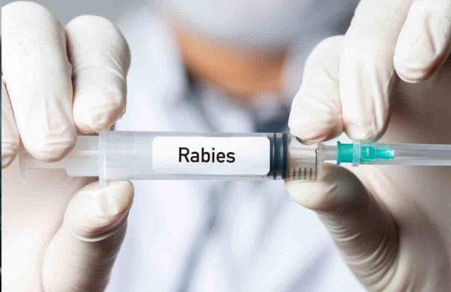 Stok Vaksin Rabies di Dinas Kesehatan Tersisa 1.600 Dosis