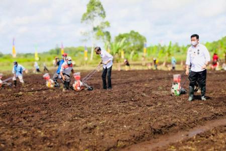 Presiden Ajak Petani Milenial Menjadi Motor Penggerak Pertanian