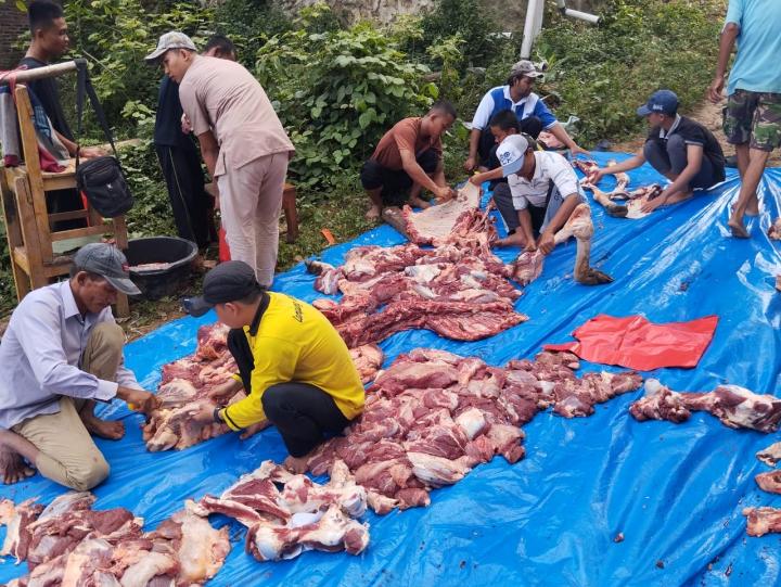 Qurban Terus Meningkat, Ribuan Berkah Mengalir dari Pondok Tahfizh Menara Sembilan