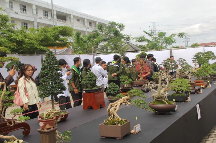 Pameran dan Workhsop Tanaman Bonsai Meriahkan Dies Natalis ke-8 ITERA 