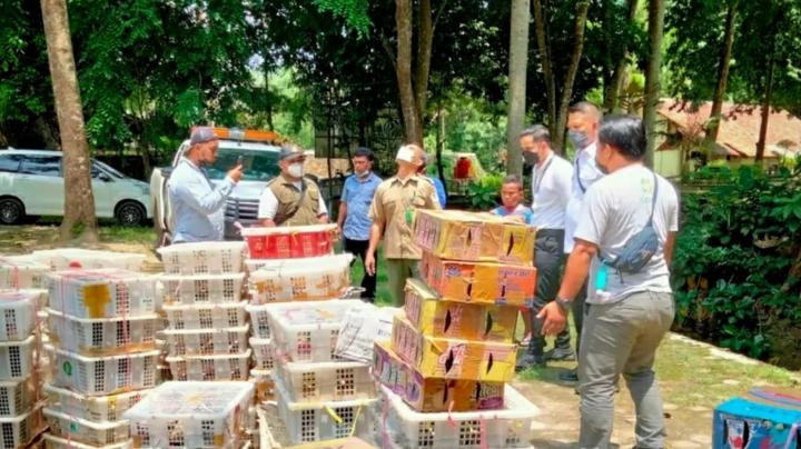 Tim Gabungan KSDA Lepas Liarkan 4527 Burung di Tahura