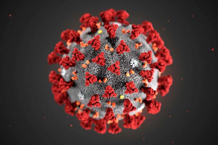 5 Fakta Kemunculan Virus Covid Arcturus, Jokowi Minta Masyarakat Segera Vaksin Booster