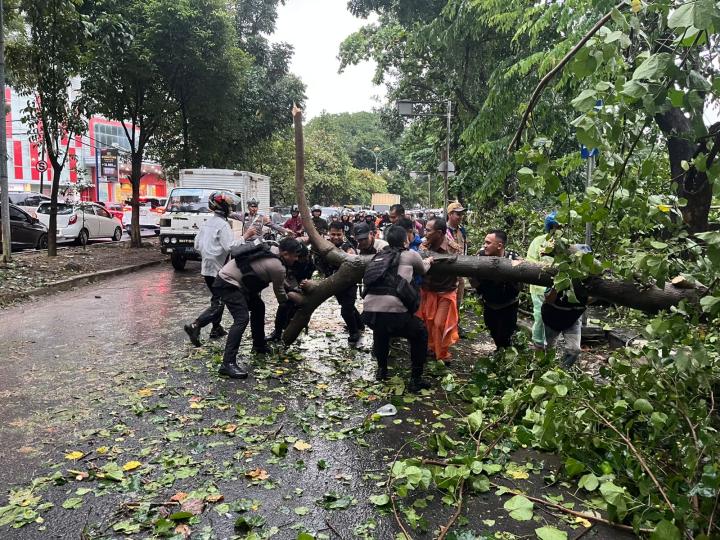 Polisi Bantu Evakuasi Sejumlah Pohon Tumbang di Bandar Lampung 