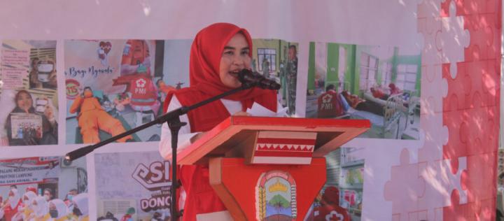 Ketua PMI Lamsel Hj.Winarni Ajak Kaum Mileneal Jadi Pelopor Donor Darah