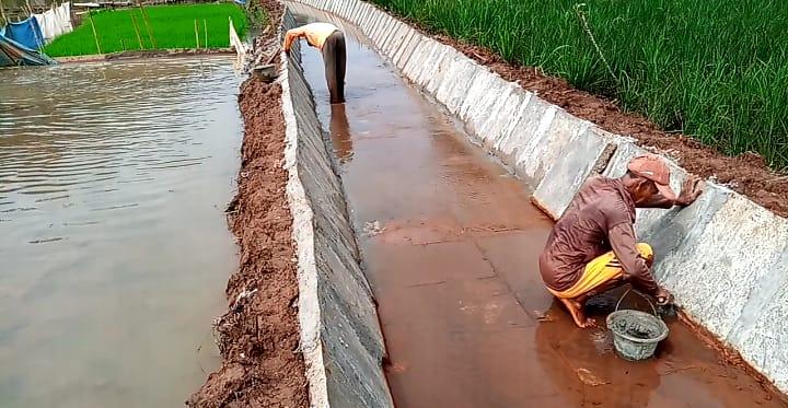 Pembangunan Peningkatan Jaringan Irigasi Wai Tulung Sindangsari, Asal Jadi?
