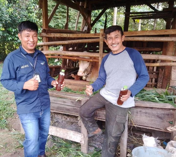 SMSI Way Kanan Bagikan Cairan Eco Enzim Obat Penyakit Mulut dan Kuku (PMK) Kepada Peternak