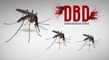 Ada 256 Orang Terjangkit DBD di Kota Bandar Lampung Sejak Januari 2022 