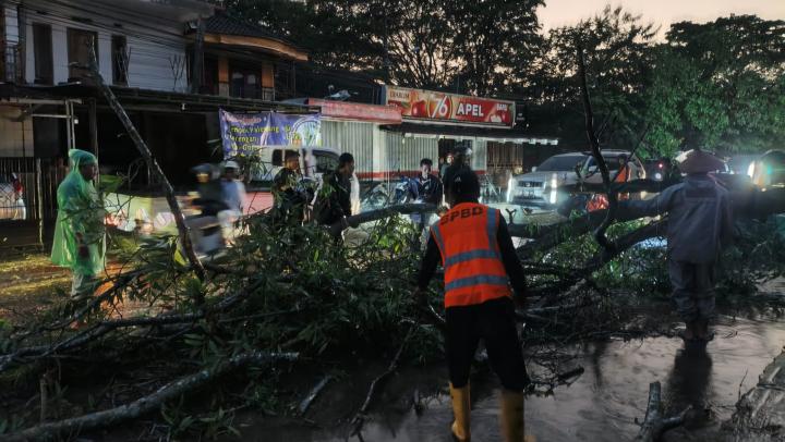 Hujan Deras di Kota Metro Picu Banjir dan Pohon Tumbang, Polisi Imbau Warga Waspada