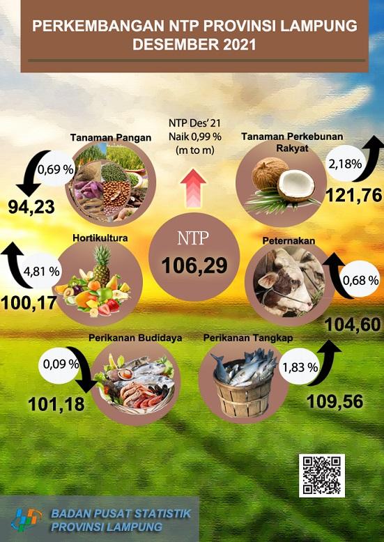 Alami Kenaikan, BPS: Nilai Tukar Petani Provinsi Lampung Desember 2021 Sebesar 106.29
