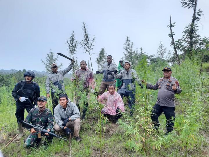 Terkait Pengembangan ke Aceh dan Ungkap 6,28 Hektar Ladang Ganja, Ini Kata Diresnarkoba Polda LampungÂ 