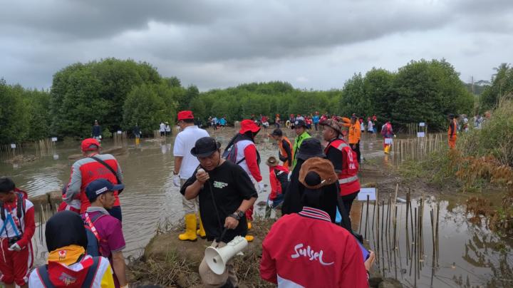 Ratusan Relawan Muda Palang Merah Remaja Tanam Mangrove dan Operasi Bersih PantaiÂ 