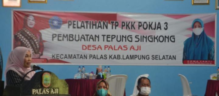 Ketua TP PKK Kabupaten Lampung Selatan Buka Pelatihan Pembuatan Tepung Singkong Bagi Kader PKK Desa Palas Aji