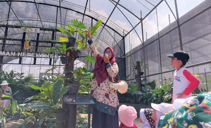 Kebun Raya Itera Raih Dukungan Internasional dalam Pelestarian Kantong Semar