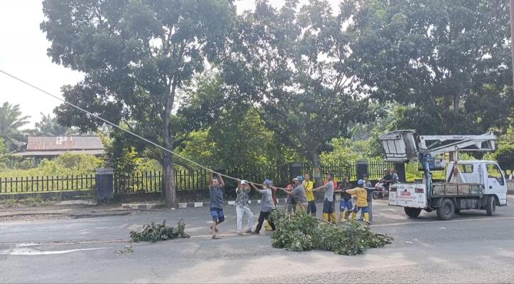 Dinas Lingkungan Hidup Tuba Tanggap Terhadap Laporan dan Pemberitaan