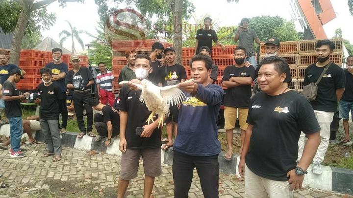 Harga Naik Warga Tercekik, Gelar Aksi Damai Ini Harapan Para Broker Ayam Lampung 