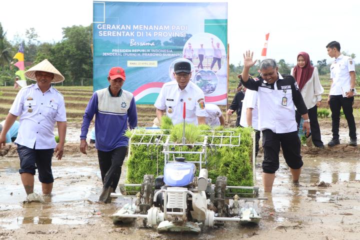 Gerakan Indonesia Menanam, Lampung Pacu Produksi Padi dan Serapan Gabah   