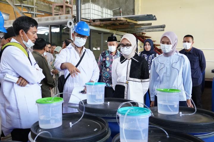 Gubernur Cukupi Kebutuhan Pupuk 190.851 Petani Lampung   