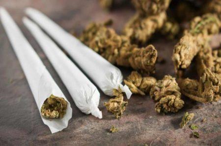 Dua Kurir Bawa Ganja dari Aceh, Ditangkap Polda Lampung di Jawa Barat