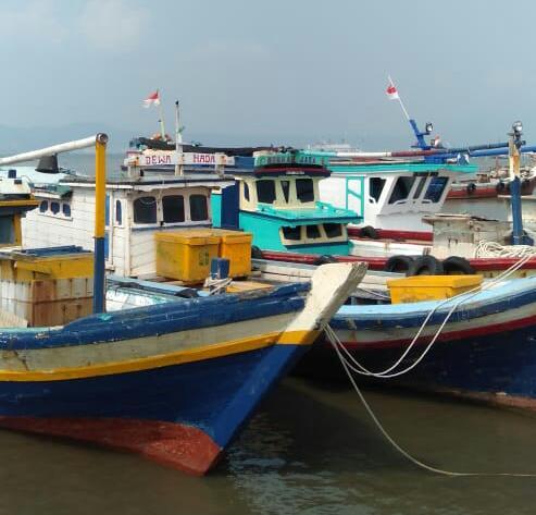 Hasil Tangkapan Ikan Nelayan Pulau Pasaran Sepi, Ini Penyebabnya