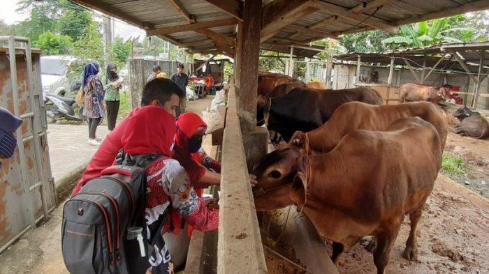 Jelang Idul Adha, Disnakeswan Tubaba Periksa Kesehatan Hewan Kurban