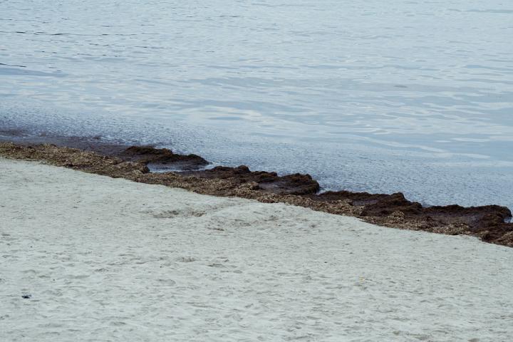 Dinas Lingkungan Hidup: Limbah di Pesisir Pantai Duga Akibat Kebocoran Pipa