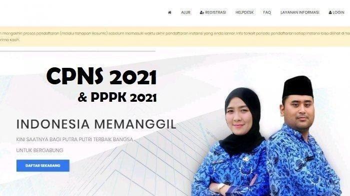 Simak! Berikut Cara Cek Kelulusan CPNS 2021