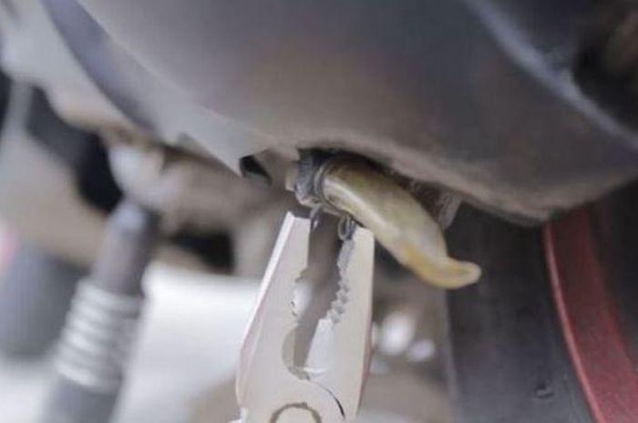 Fungsi Slang Kecil Bening di Motor Matic
