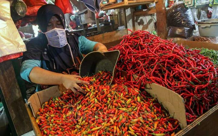 Kabar Gembira Harga Cabai Turun Hingga 18 Ribu per Kg di Tubaba