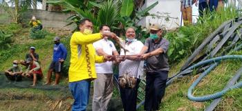 Panen Raya Ikan Patin di Raman Utara, 5 Bulan Capai 5 Ton