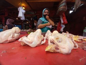 Tidak Stabil ! Jelang Lebaran Harga Daging Ayam dan Cabai Meroket, Pedagang Kecil Pusing