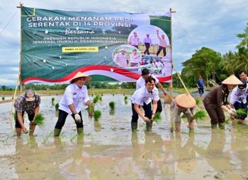 Bupati Lampung Selatan Ikuti Gerakan Tanaman Padi 