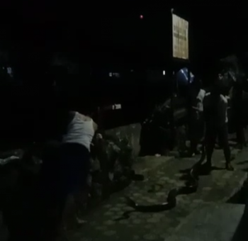 Ular Sepanjang 3 Meter Bikin Geger Warga Pasar Ambon 